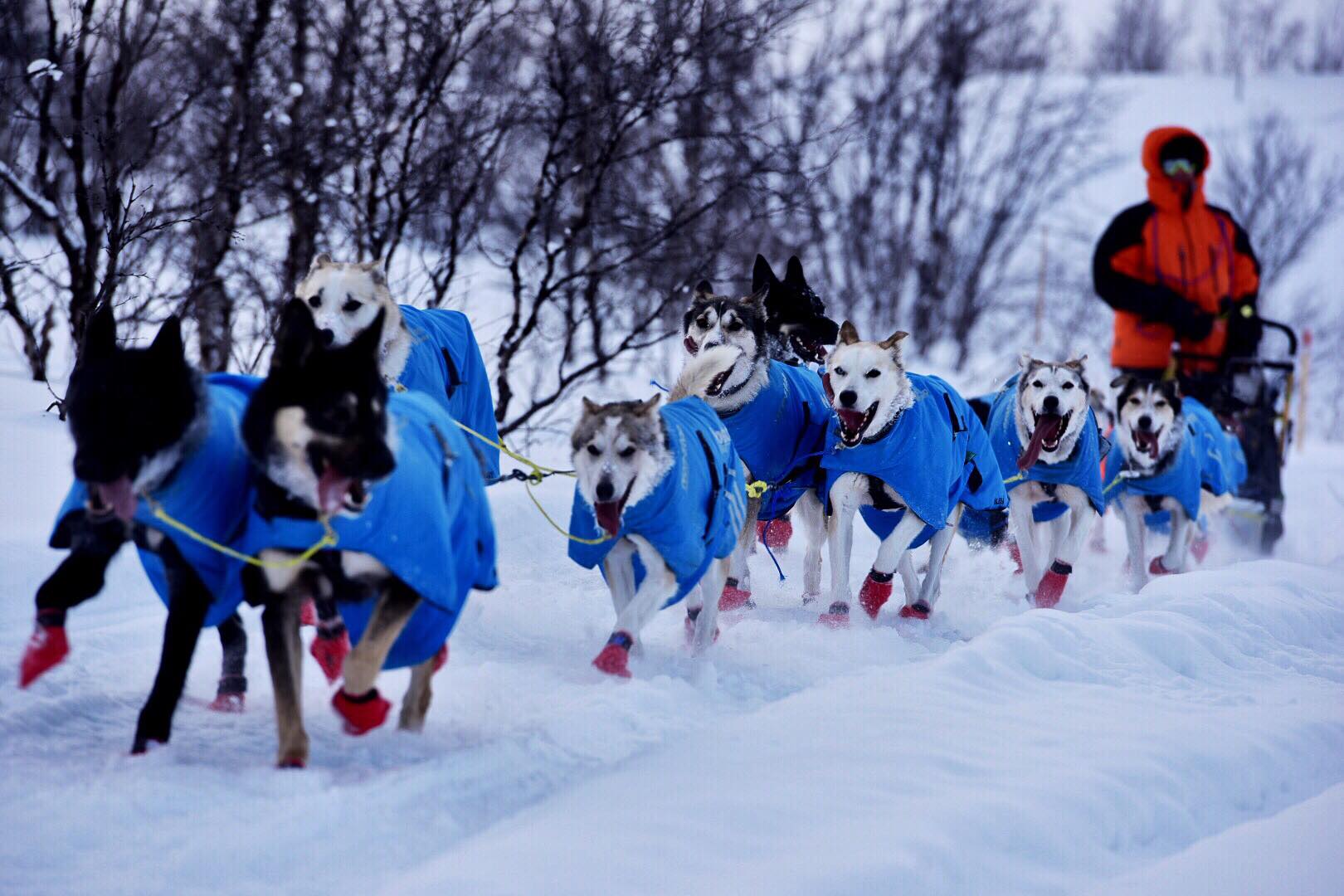 rich text with image