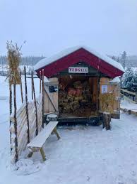 rich text with image